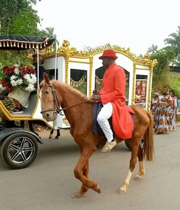 Traditional Horse-drawn Hearse